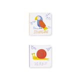 Caixa dos Tesouros - Animais - Edicare