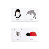 Caixa dos Tesouros - Animais - Edicare