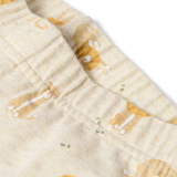 Pijama de 2 Peças Nightwear Collection - Safari Lion - Little Dutch