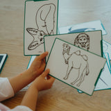 Bloco de Desenho com Ilustrações - Animais Selvagens