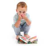 Livro Sensorial - O Livro dos Cheiros - Animais e Frutas