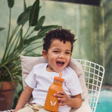Garrafa 350ml - Mr. Fox - Trixie