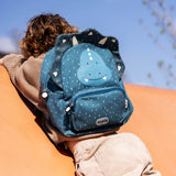 Mr. Dino Rucksack – Trixie