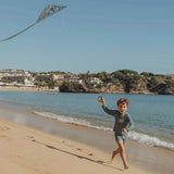 Papagaio Diamante - Ocean World - Little Dutch