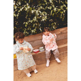 Conj. de 3 caixas de Lanche - 3 Little Pigs