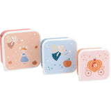 Conj. 3 Caixas de Lanche - Mouse Fairies