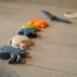 Conj. de 5 Moldes de Praia em Silicone - Animals of the Sea - Filibabba