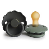 Pack de 2 Chupetas Daisy em Látex - Graphite/Lily Pad - FRIGG